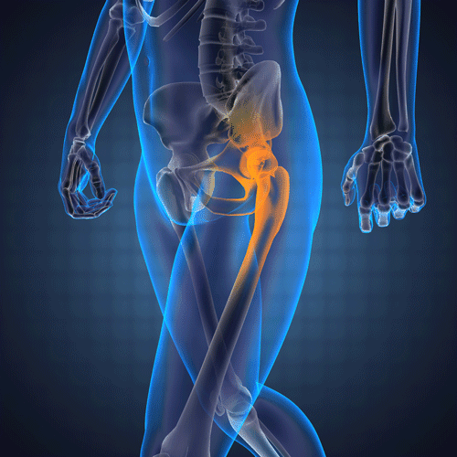 Treatment Of Hip, Pelvis and Upper Leg Pain